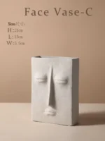 face-vase-c