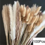 100pcs-pampas